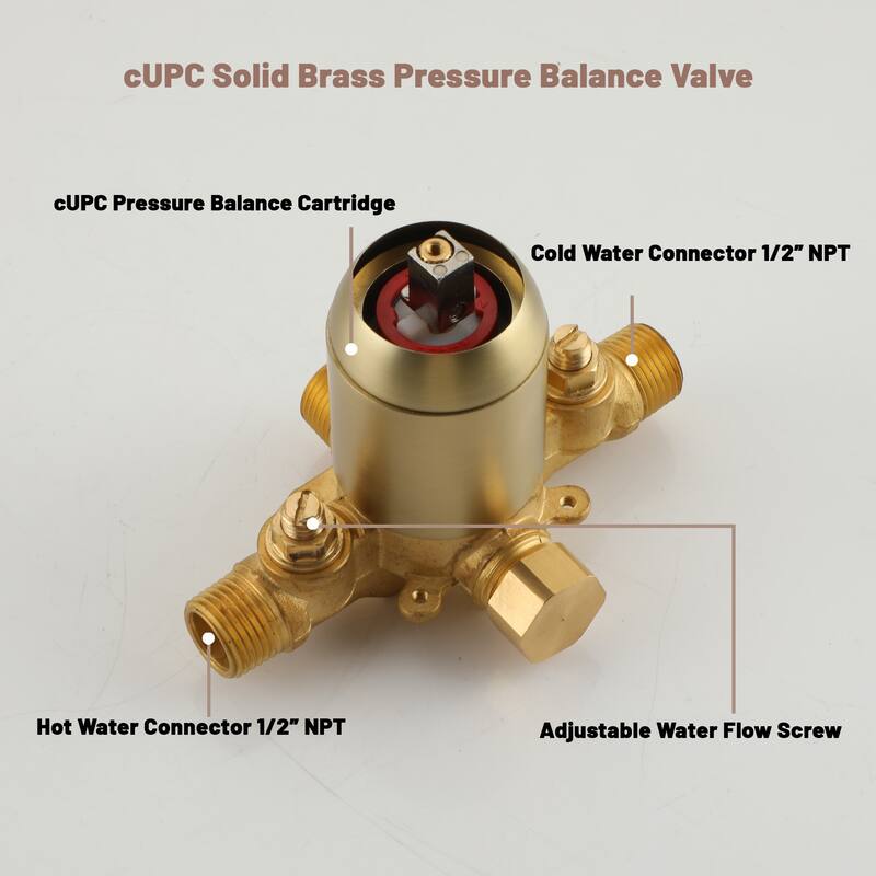 Dual Function Wall Mount Integrated Shower System with Control Valve Shower