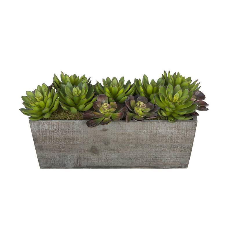 Faux Succulent Garden in Wood Washed Ledge Planter - Gray