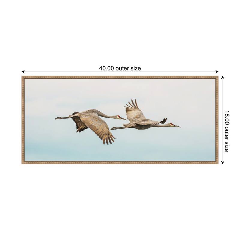Kate and Laurel Cranes Flying Panel by Emiko and Mark Franzen F2 Images Framed Canvas Wall Art Print