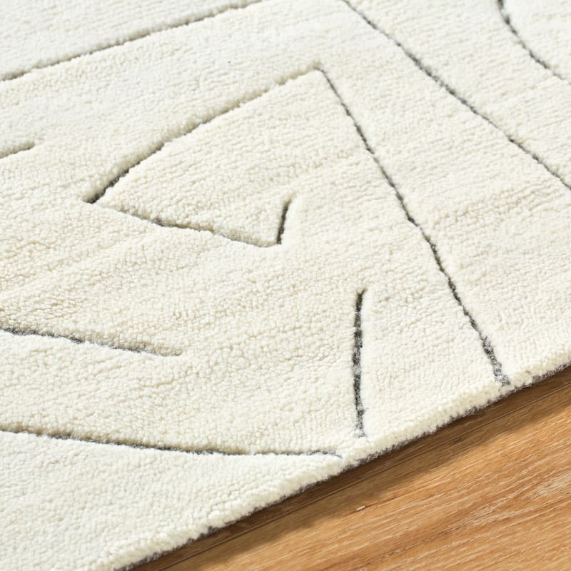 Shipp Moroccan Area Rug
