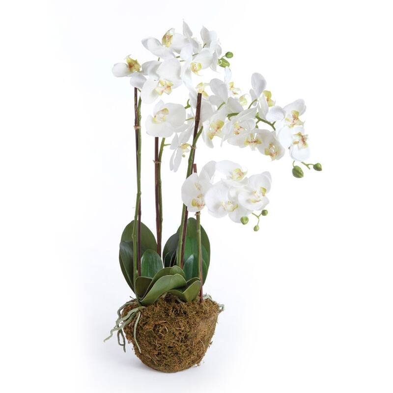 Hand-crafted Phalaenopsis Orchid 30 inch Tall Drop-In - White