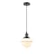 Option Oil Rubbed Bronze / Matte White