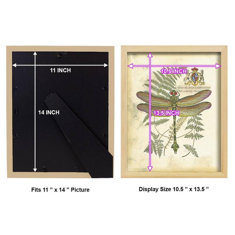 Regal Dragonfly III (PP) -Framed Print w/glass-Cherry Red