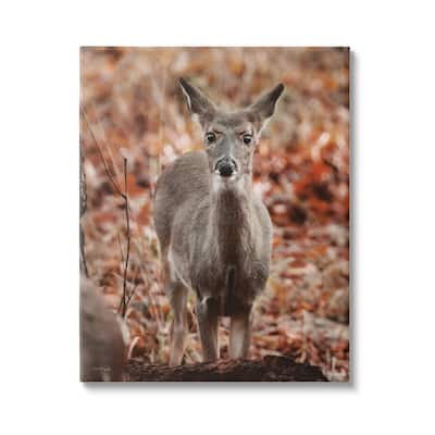 Stupell Fawn in Autumn Nature Canvas Wall Art Design by Dakota Diener