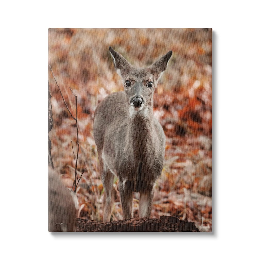 Stupell Fawn in Autumn Nature Canvas Wall Art Design by Dakota Diener