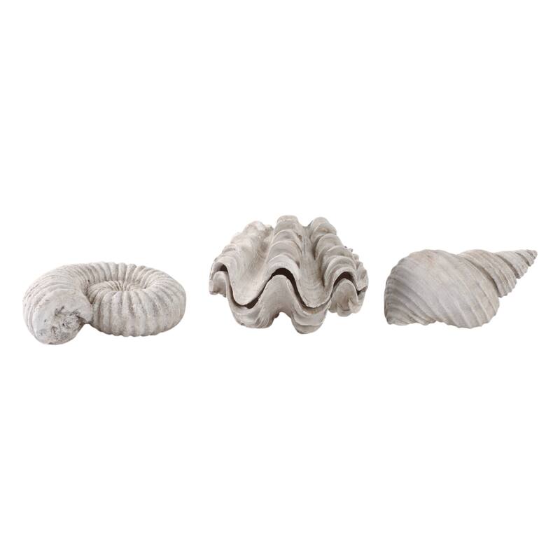 Polyresin Sculpture Coastal Shell Design (Set of 3) - 5/3" Ivory - 6.25" x 4.5" x 4.75"