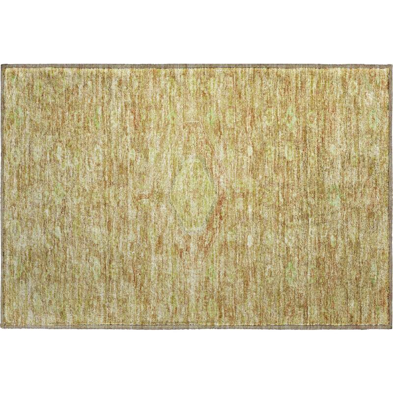 Premium Washable Super Soft Traditional Global Mayfield Rug