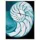preview thumbnail 11 of 11, Designart 'Chambered Nautilus Shell' Oversized Coastal Wall CLock