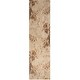 preview thumbnail 18 of 29, Nourison Astra Machine Washable Indoor only Abstract Area Rug