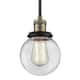 Option Black / Antique Brass / Clear