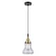 Option Clear Shade / Black Antique Brass