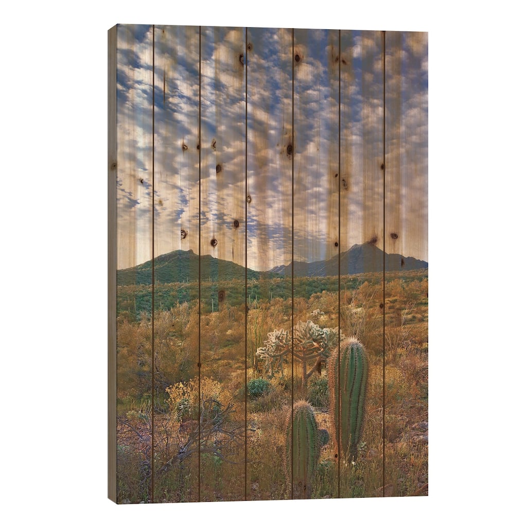 Saguaro And Teddybear Cholla, Arizona Amid Flowering Lupine And California Brittlebush II Print On Wood by Tim Fitzharris