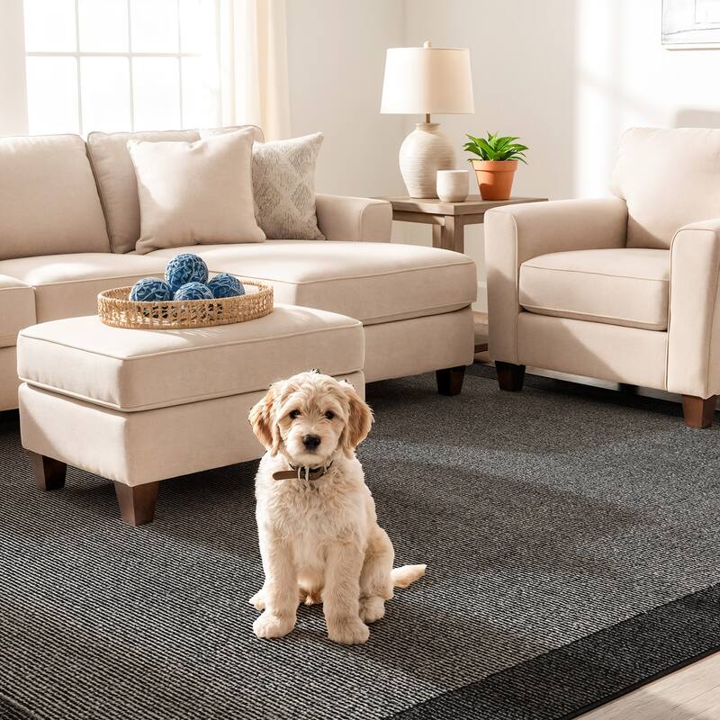 Modern Geometric Stripe Bordered Area Rug for Living Room, Bedroom, or Entryway - Low Pile Indoor Rug