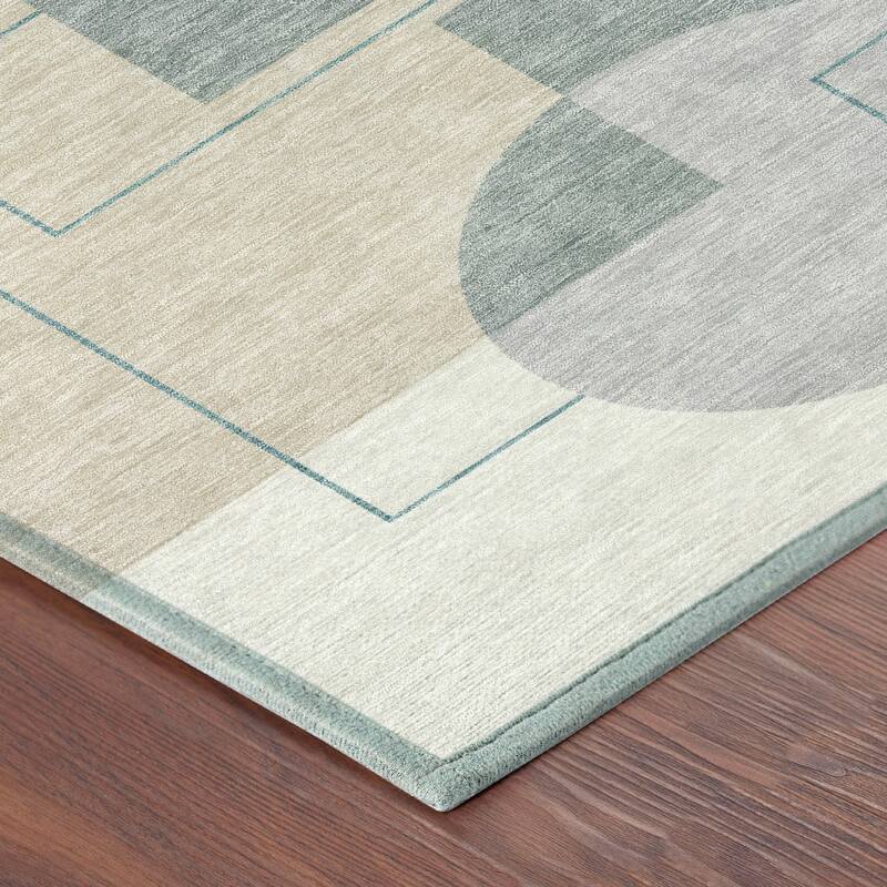 Machine Washable Indoor/ Outdoor Modern Filly Chantille Rug