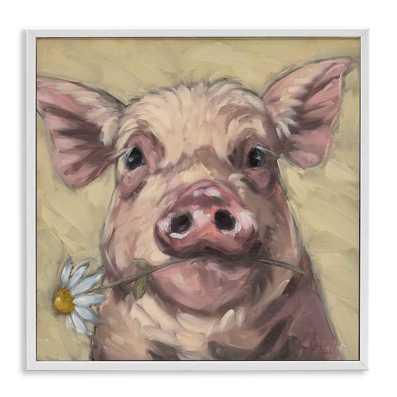 Stupell Pig Holding Daisy Sprig Framed Giclee Art Design By Sara G. Designs - 24 x 24 - White