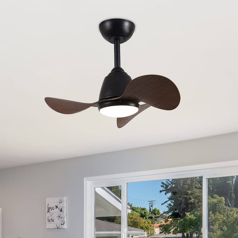 Cian Modern Antique Bronze Lighted Ceiling Fan with Wood Finish 3-Blades LED Remote Control - Black-Brown