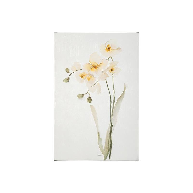 Orchid II (20 x 30) Canvas Art Print - Small