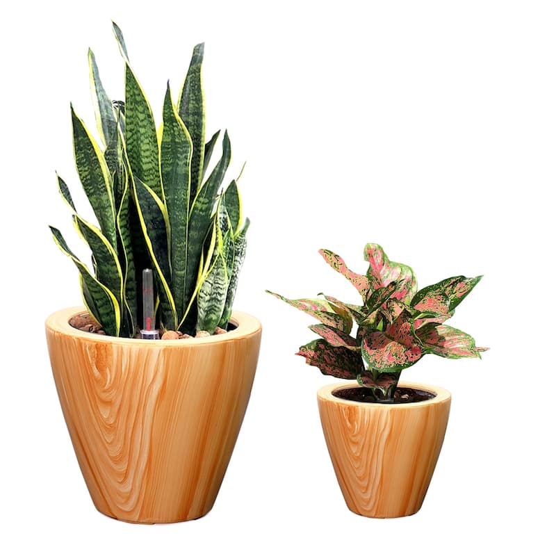 DTY Signature 2-Pack 10 in.Dark Wood Plastic Self-watering Planter Pot - Gold