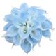 Option Light Blue