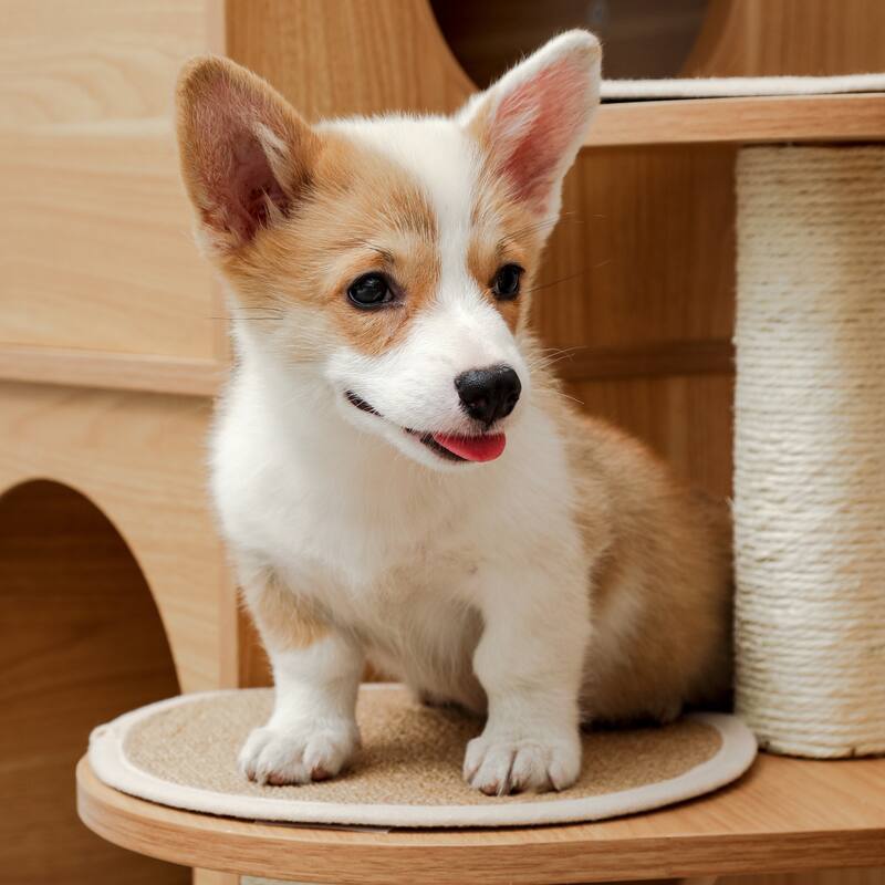 Extra Tall Sky-Castle Design Wooden Modern Luxury Cat Tree