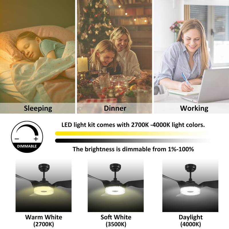CARRO Felix 60" ABS 3-Blade Indoor Smart Ceiling Fan with Light and Remote