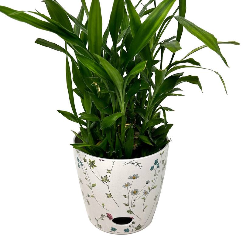 7" Round Self-Watering Indoor/Outdoor Bamboo Pots - Wildflower