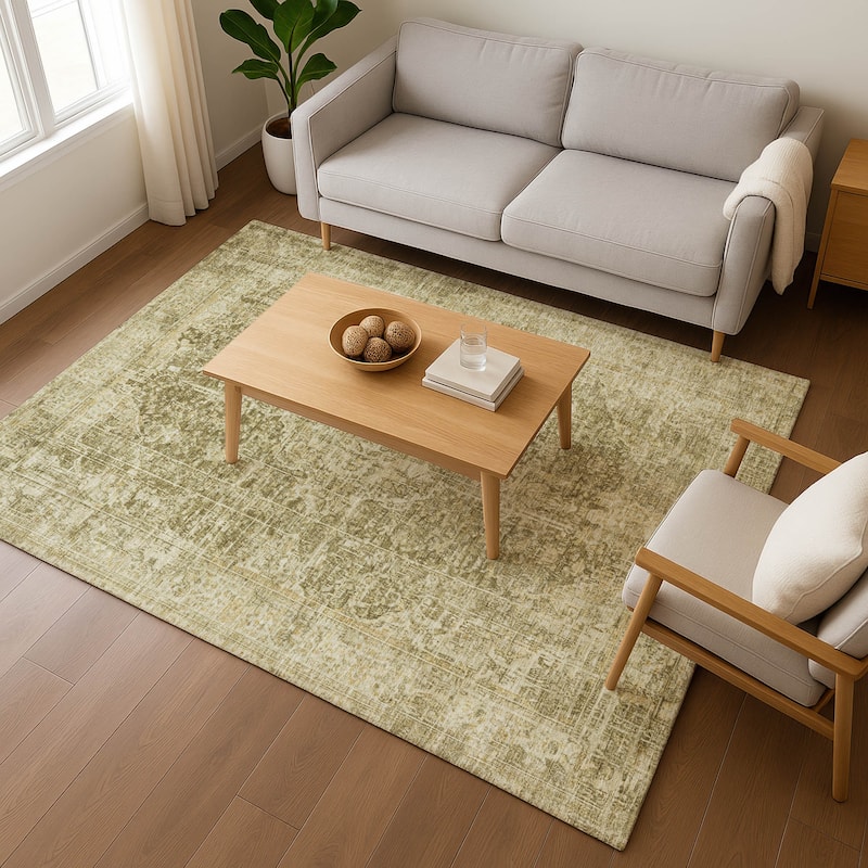 Premium Washable Super Soft Vintage Traditional Mayfield Rug