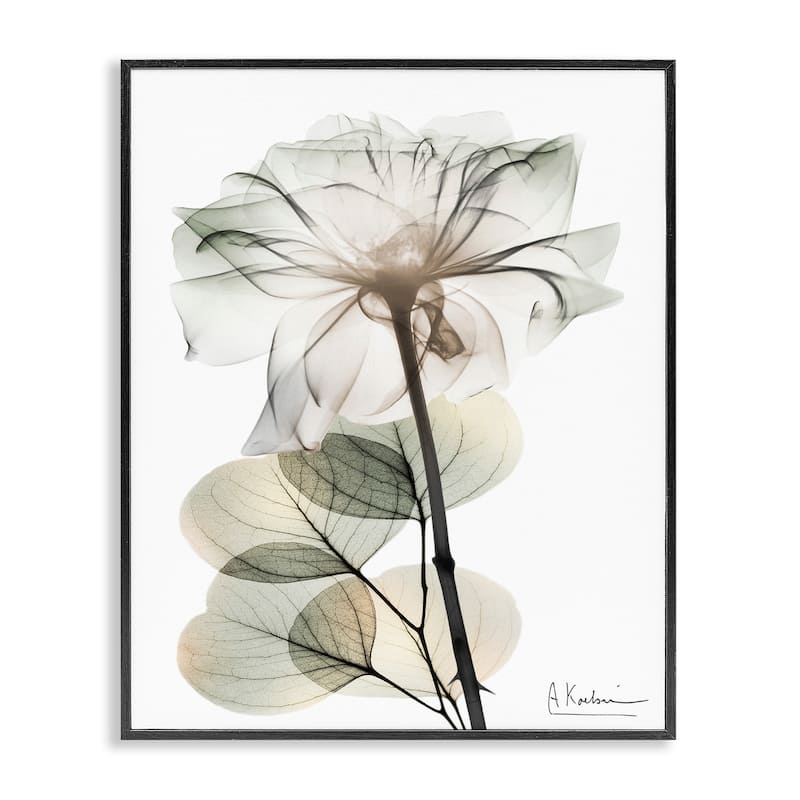 Stupell Modern Minimalist Buds Framed Giclee Art Design By Albert Koetsier - 11 x 14 - Black