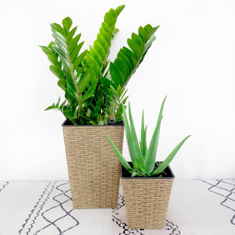 Medium 9 in. & 7 in. Smart Self-Watering Square Planter with Water Level Indicator - Hand Woven Wicker (2-Pack) - Brown