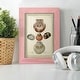 preview thumbnail 23 of 118, Bookplate Shells III -Framed Print w/glass-Cherry Red