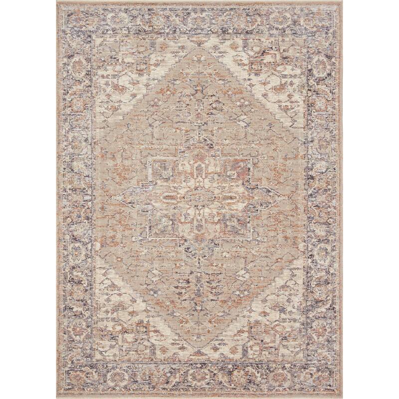Alexander Home Artysan Vintage Inspired Oriental Area Rug