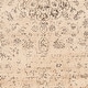 preview thumbnail 34 of 52, SAFAVIEH Agda Vintage Distressed Oriental Area Rug