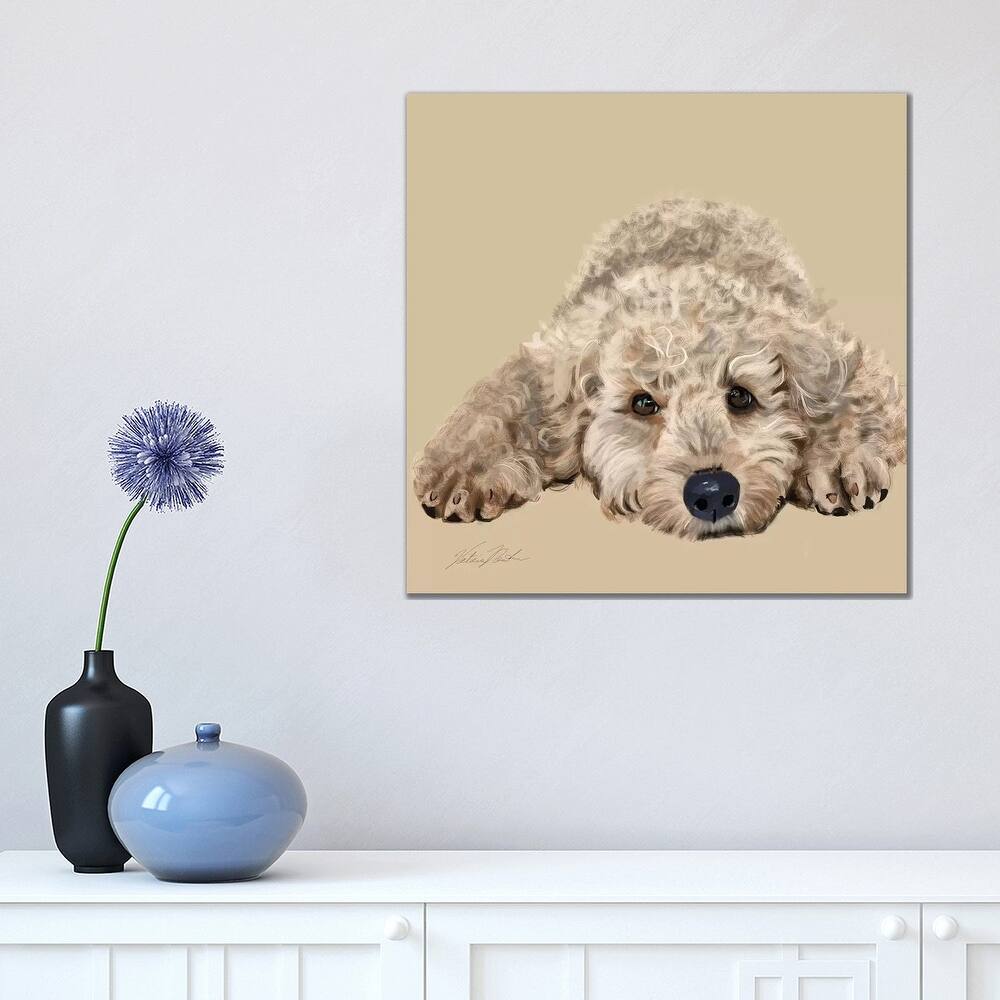 iCanvas "Labradoodle" by Vicki Newton Canvas Print
