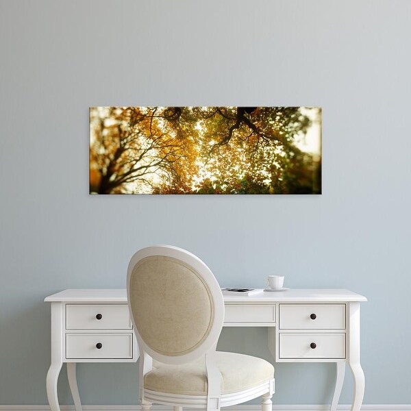 Easy Art Prints Panoramic Image 'Autumn trees, Volunteer Park, Capitol Hill, Seattle, King, Washington' Canvas Art