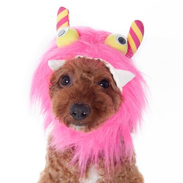 pink dog hat
