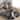 World Rug Gallery Contemporary Abstract Circles Design Area Rug