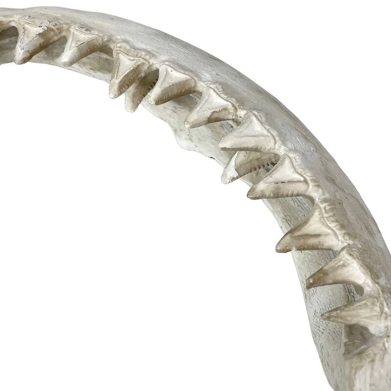 Replica Imitation Shark Jaw Wall Sculpture Resin Coastal Nautical Decor 16"