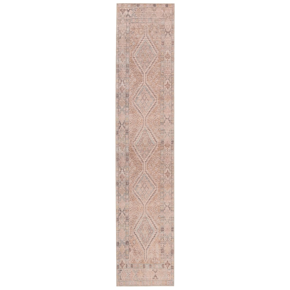 Marquesa Machine Washable Trellis Light Pink/ Blue Area Rug