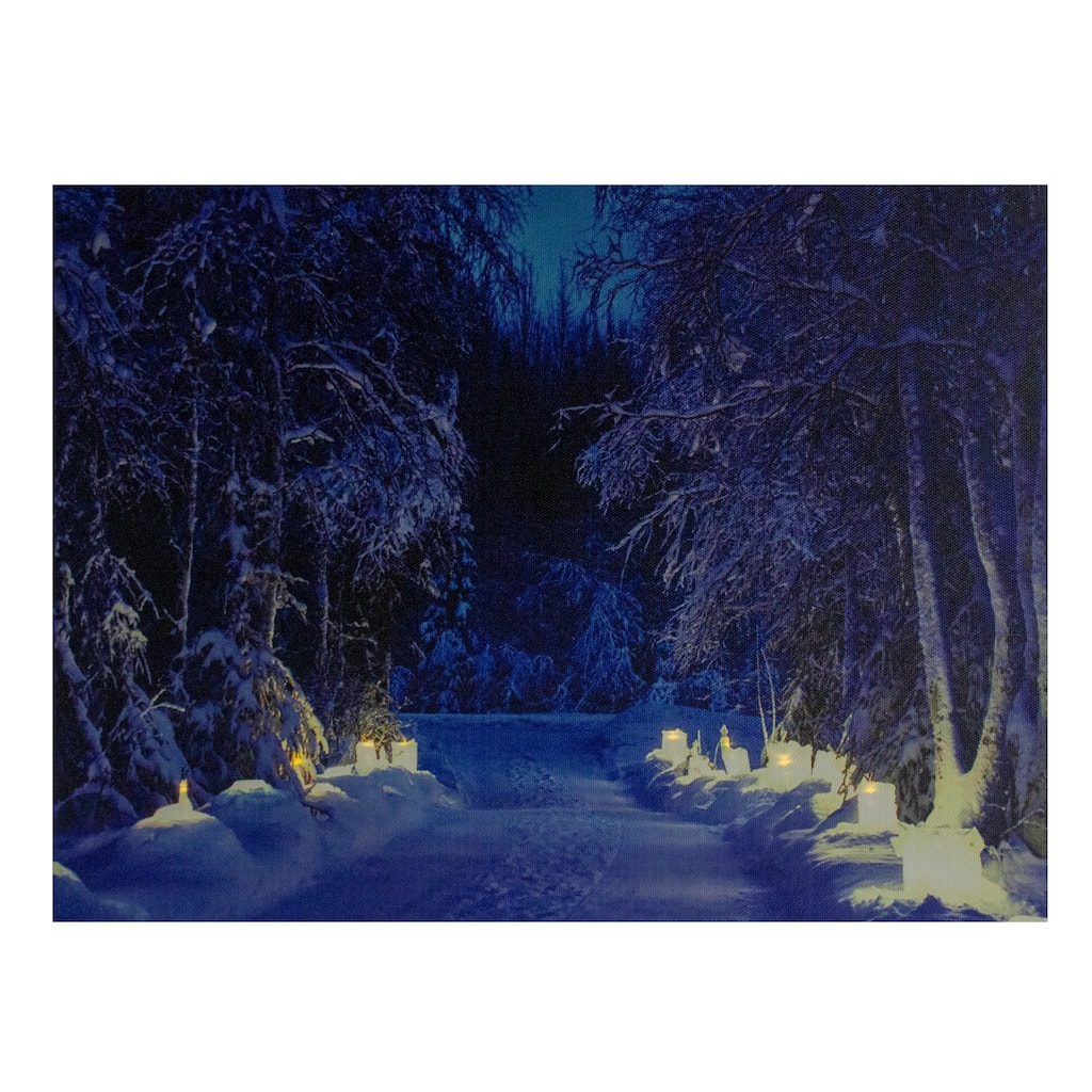 LED Lighted Nighttime Woods Winter Canvas Wall Art 11.75 x 15.75