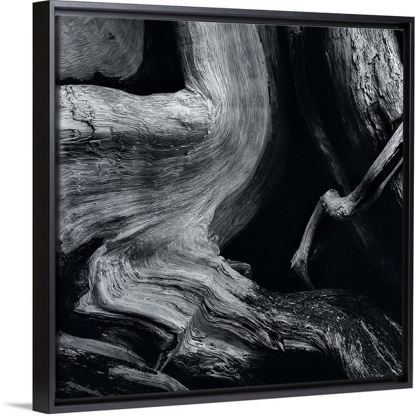 Shop Dead Tree Trunk Black Float Frame Canvas Art Overstock