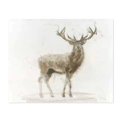 Stag v 2 Full Illustrations Animals Deer Vintage Art Print/Poster - Bed ...