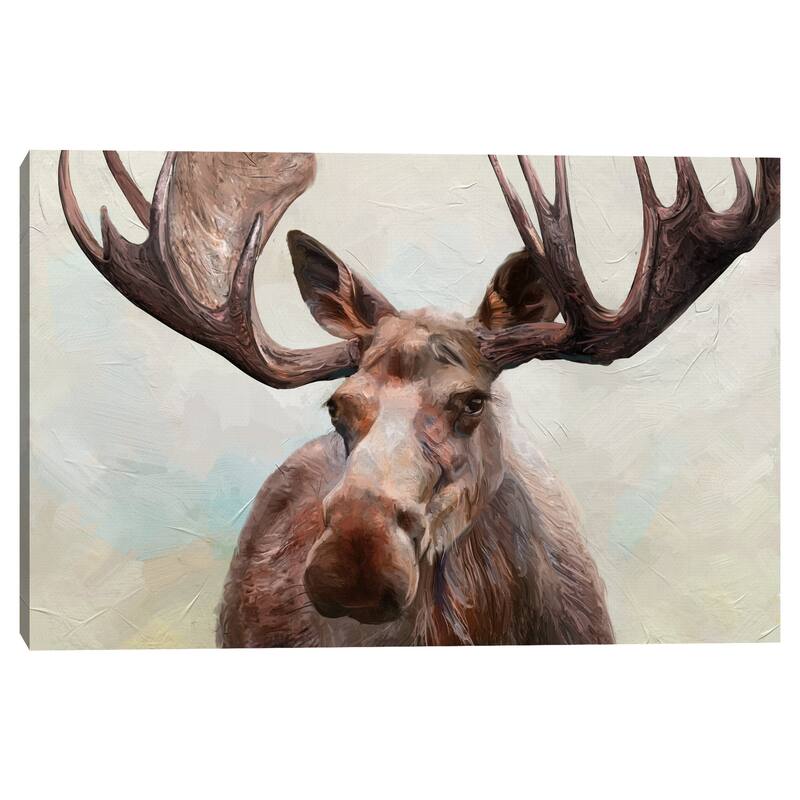 Moose by Studio Arts Canvas Art Print