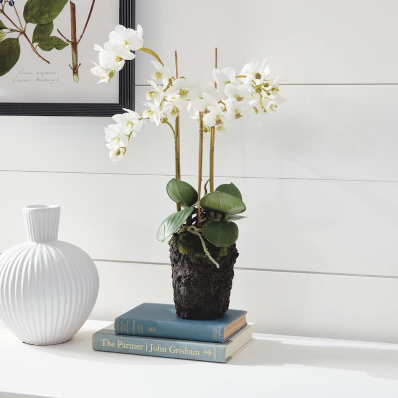 Phalaenopsis Orchid Drop-In 20" - White