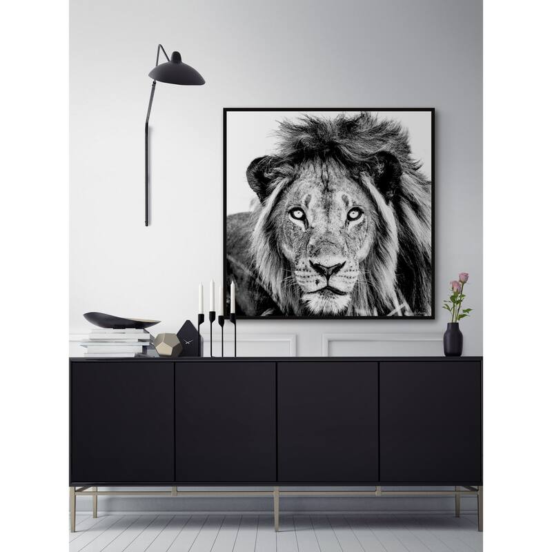 Mighty Lion Floater Framed Print on Canvas