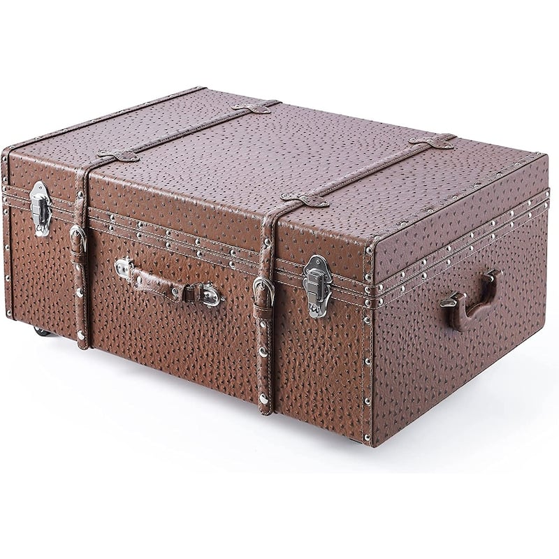 Texture® Brand Trunk - Faux Ostrich by DormCo - 29"L x 20"W x 14"H