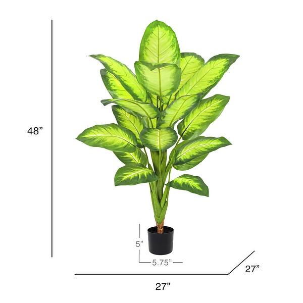 house plant umbrella tree Umbrella Tree 14