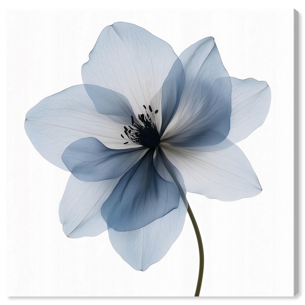 Morning Petalia III Canvas by Art Remedy, Gallery Wrapped