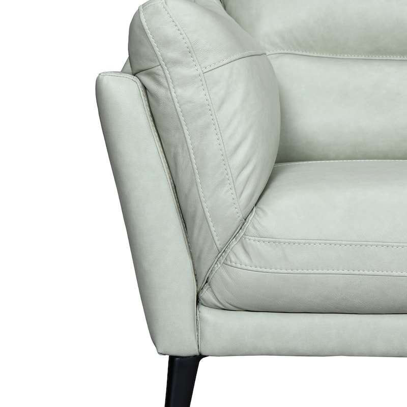Franz 87" Modern Leather Sofa
