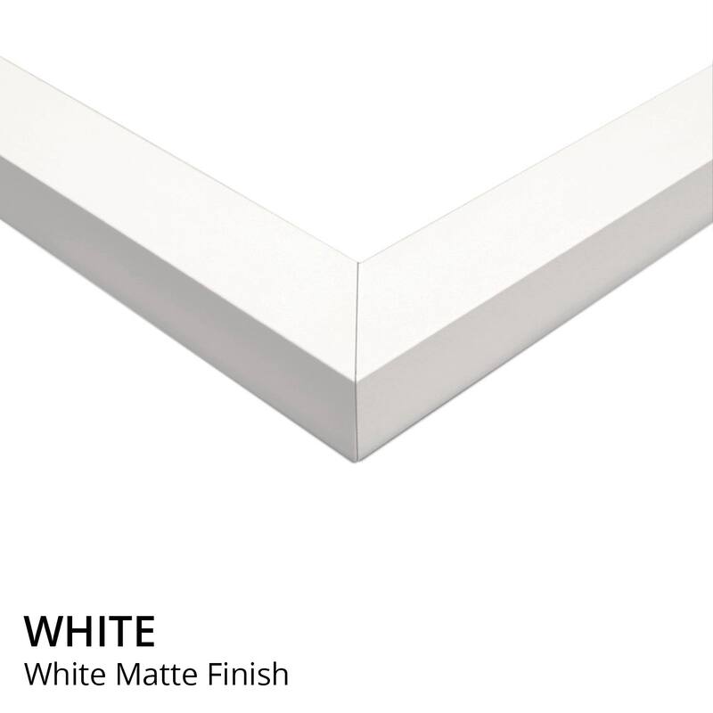 iCanvas "Pygmy Three-Toed Sloth Swimming In Mangrove Forest, Isla Escudo De Veraguas, Panama" by Suzi Eszterhas