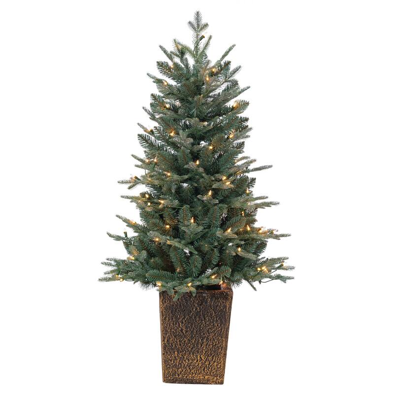 4ft Pre Lit Potted Natural Cut Blue Spruce with 100 Lights and 605 Branch Tips